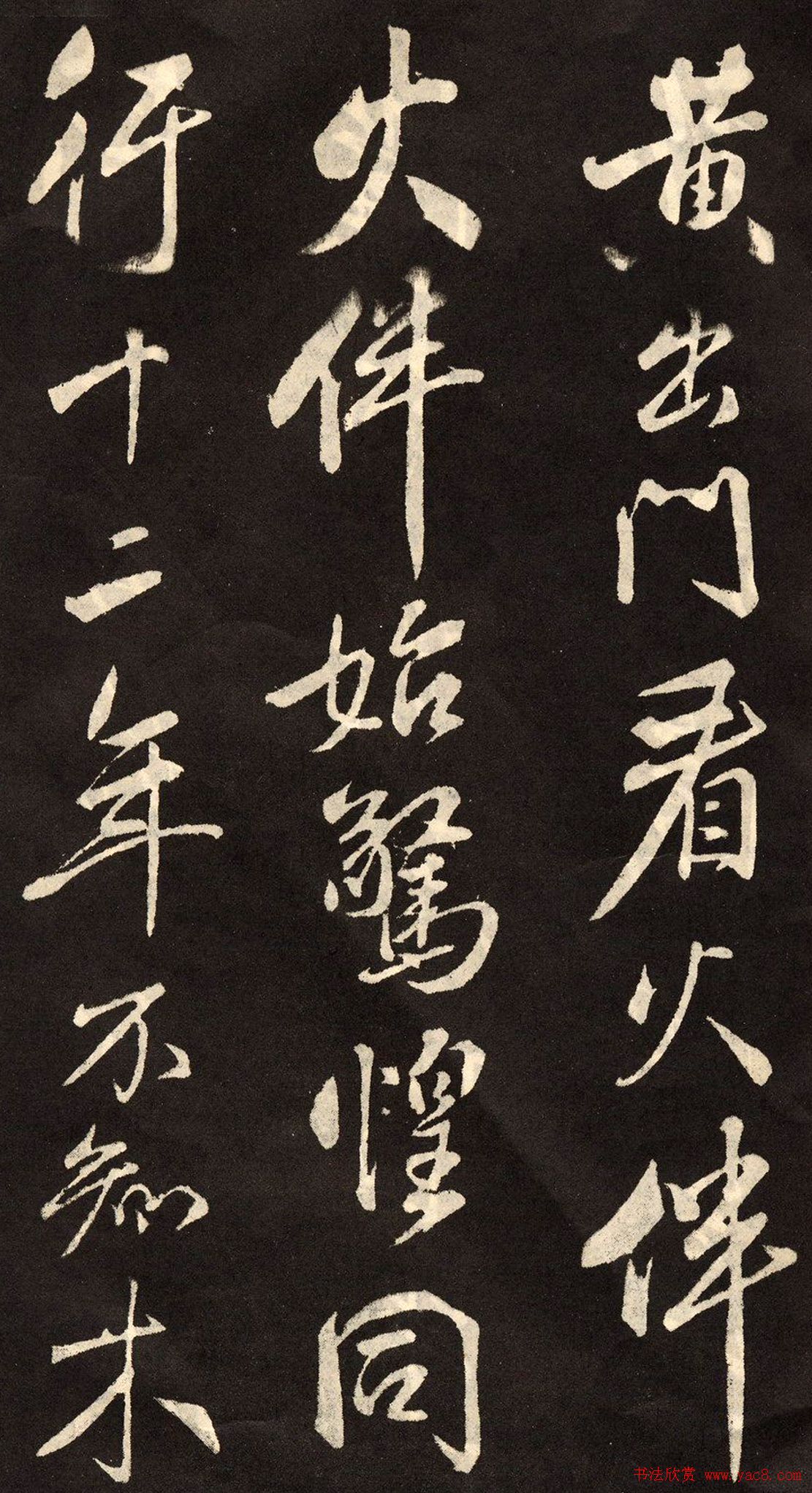 鷨رľʫ
