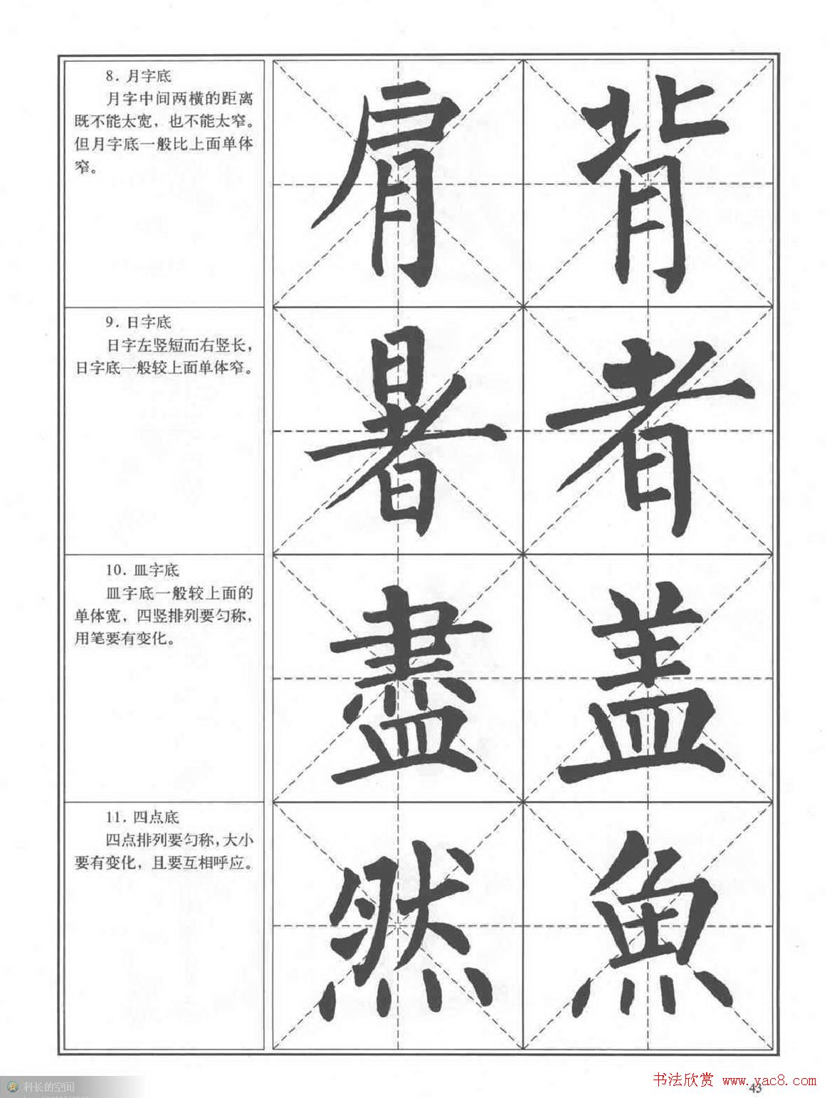 鷨̡̳Ȩϰ