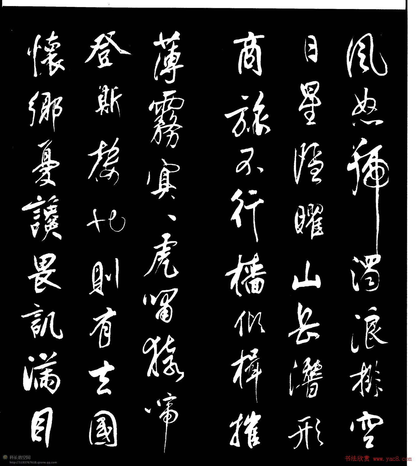 鷨¥ǡ