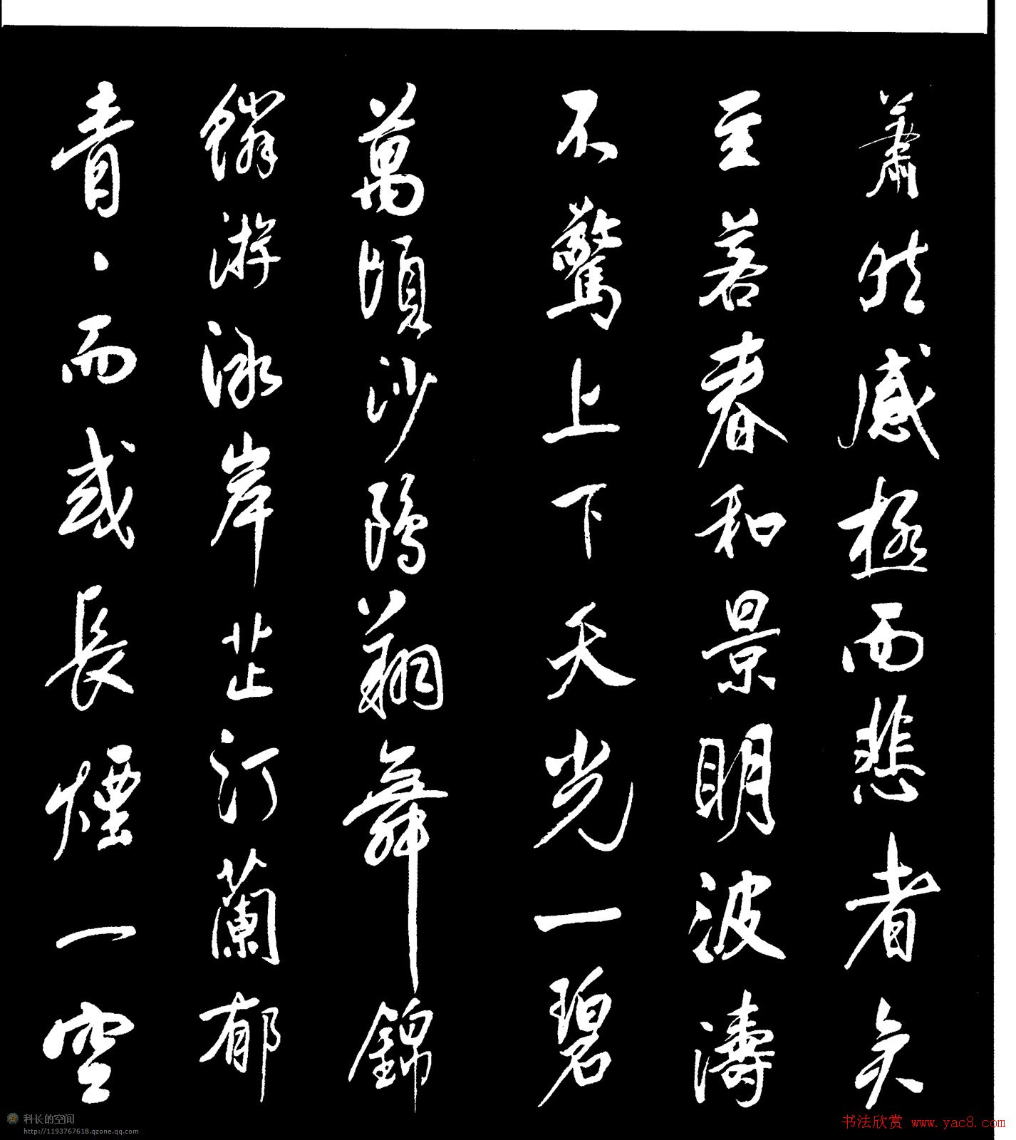 鷨¥ǡ