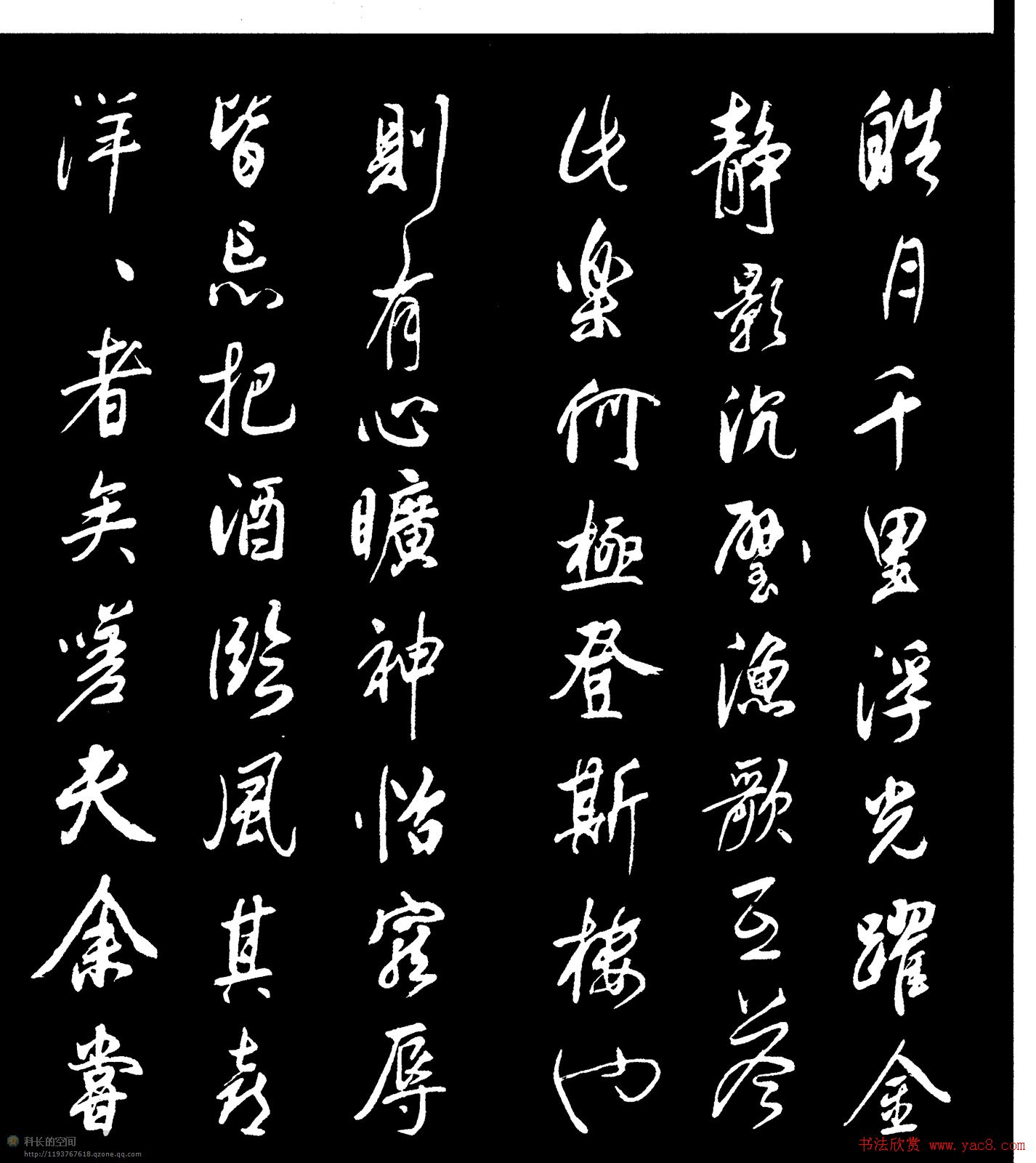 鷨¥ǡ