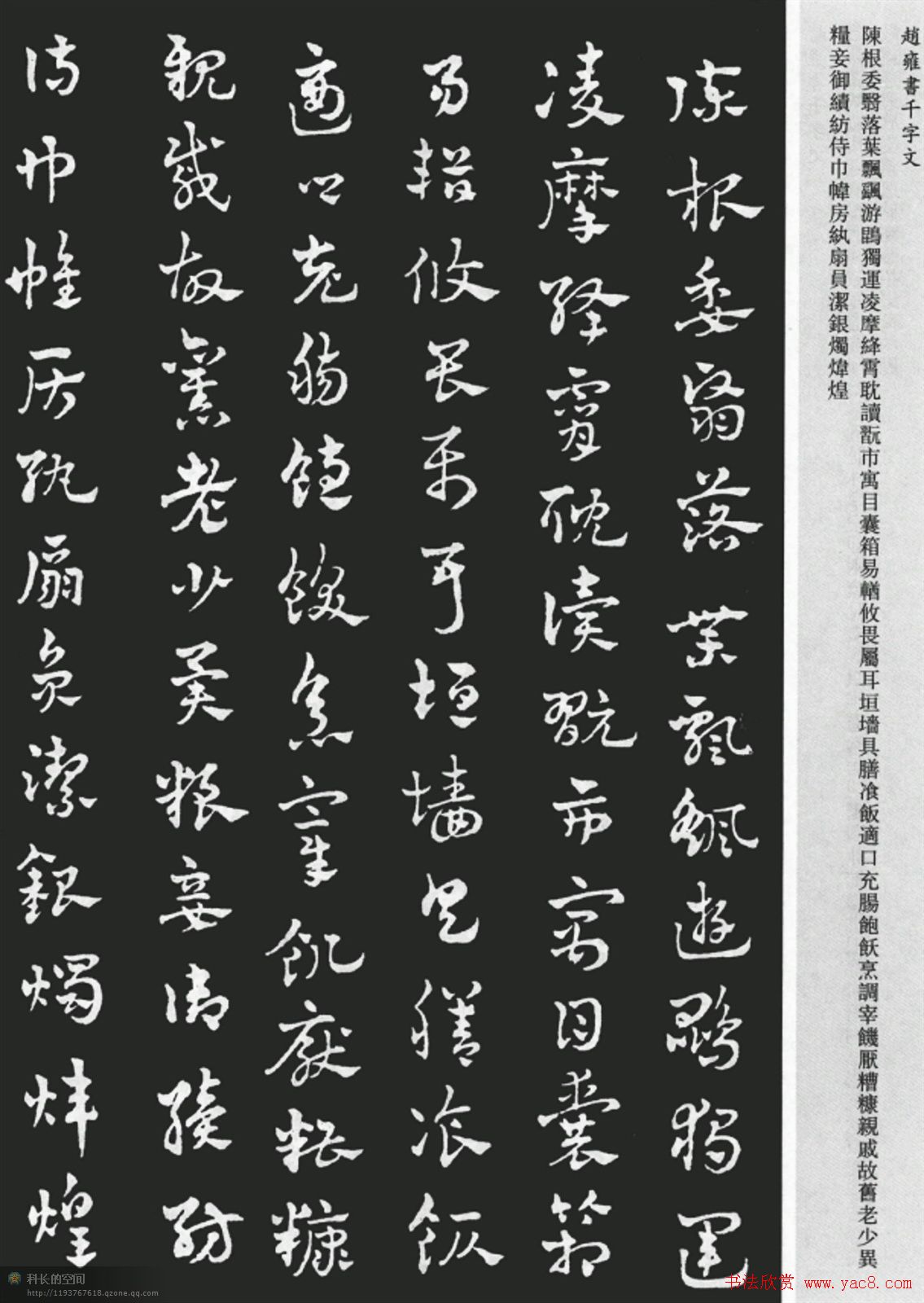 赵雍书法《章草千字文》大图欣赏 - 第12页 _草书字帖_书法欣赏