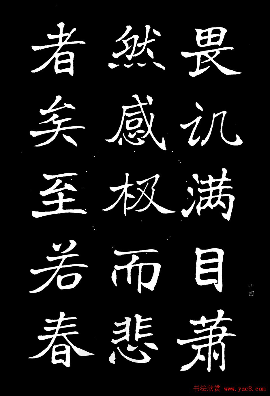 鷨͡¥ǡ