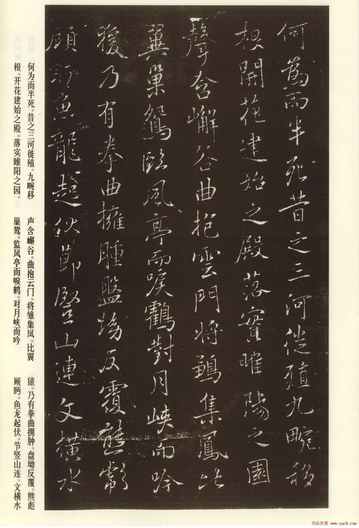 褚遂良书法欣赏《枯树赋》(大图)