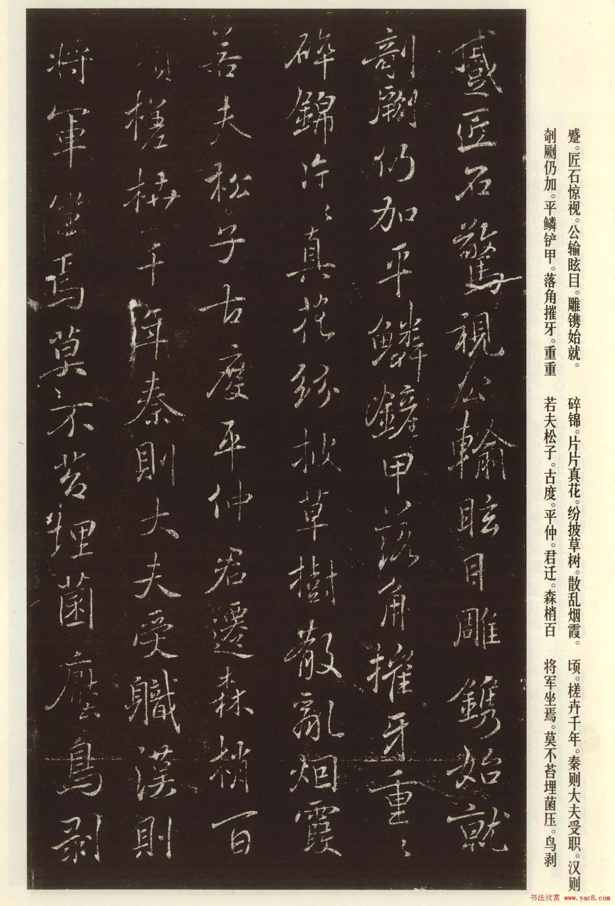 褚遂良书法欣赏《枯树赋》(大图)