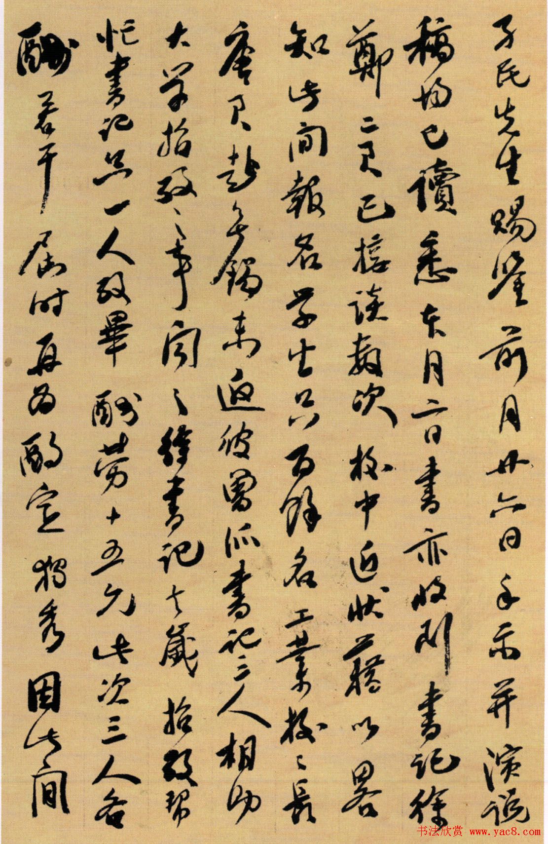 ¶鷨ī
