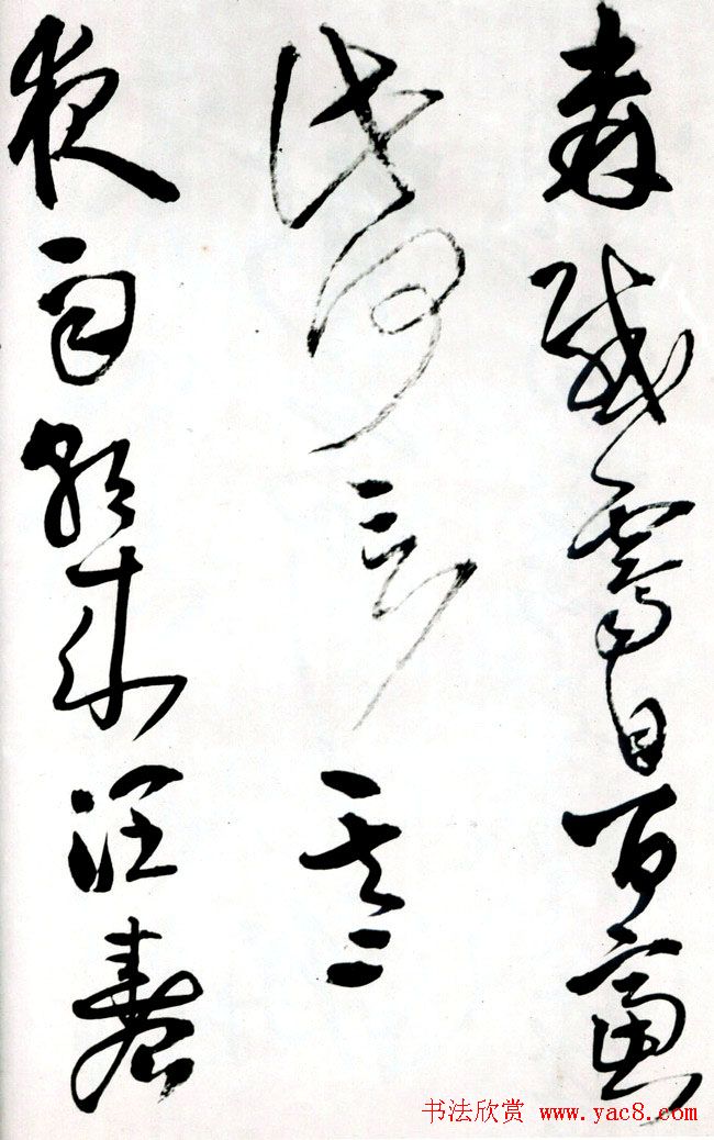졶ʫ