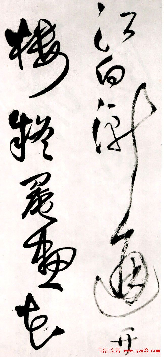 졶ʫ