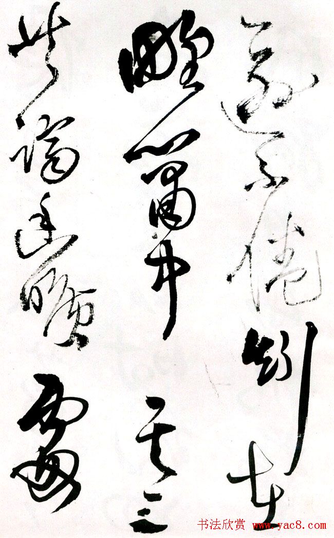 졶ʫ