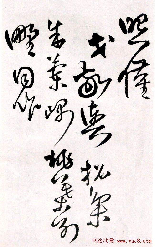 졶ʫ