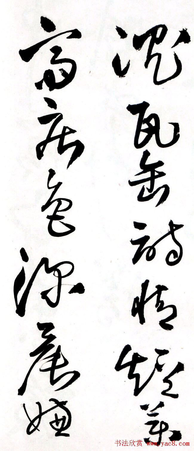 졶ʫ