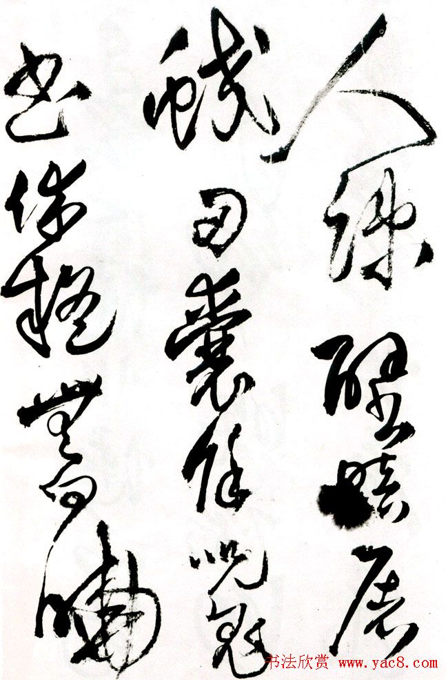 졶ʫ
