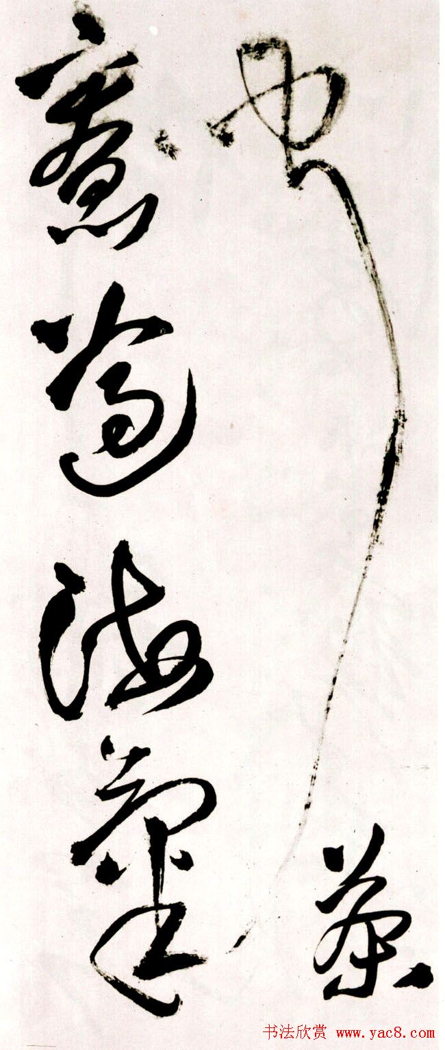 졶ʫ