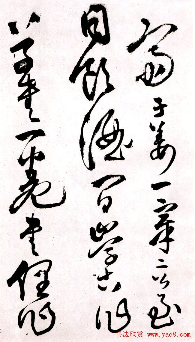 졶ʫ