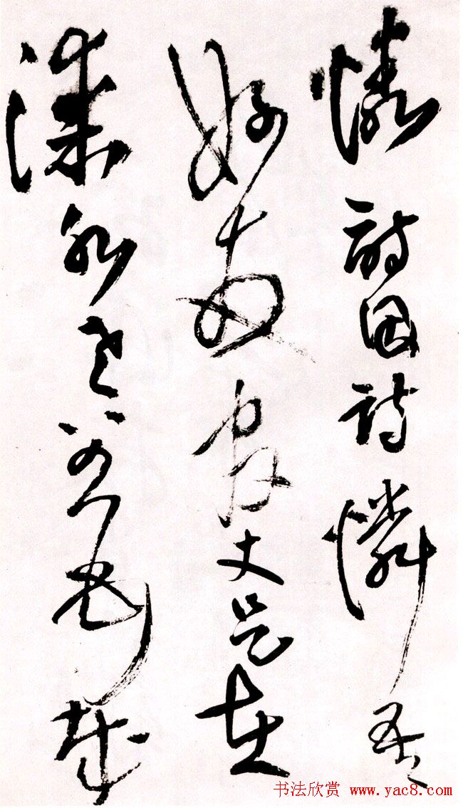 졶ʫ