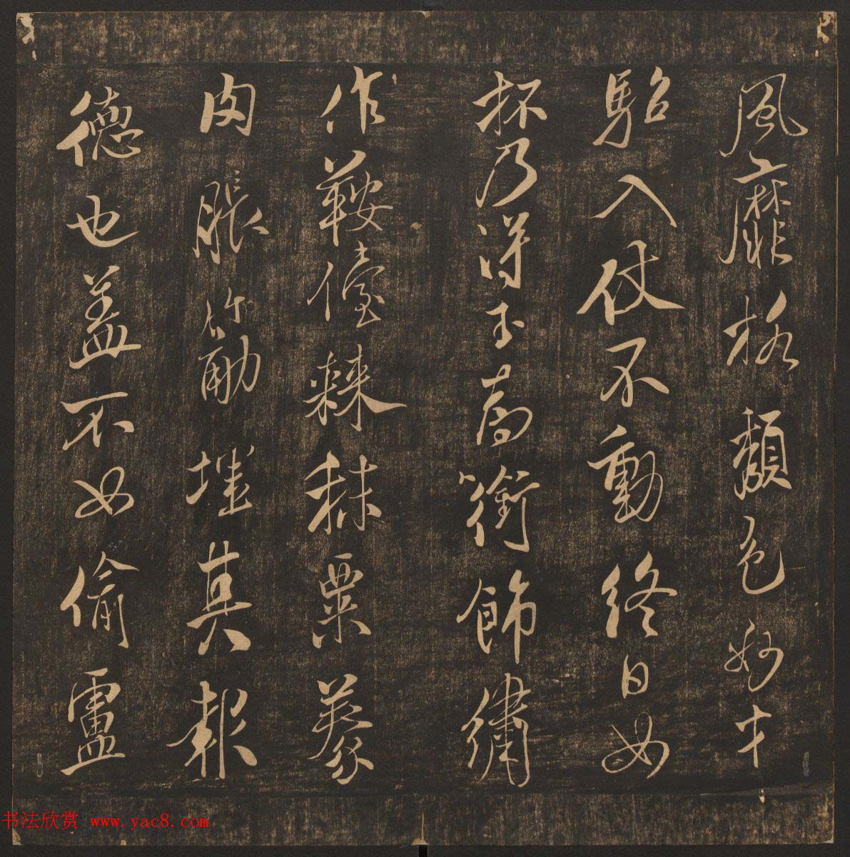 ͡իīžʮϼ_ѧر