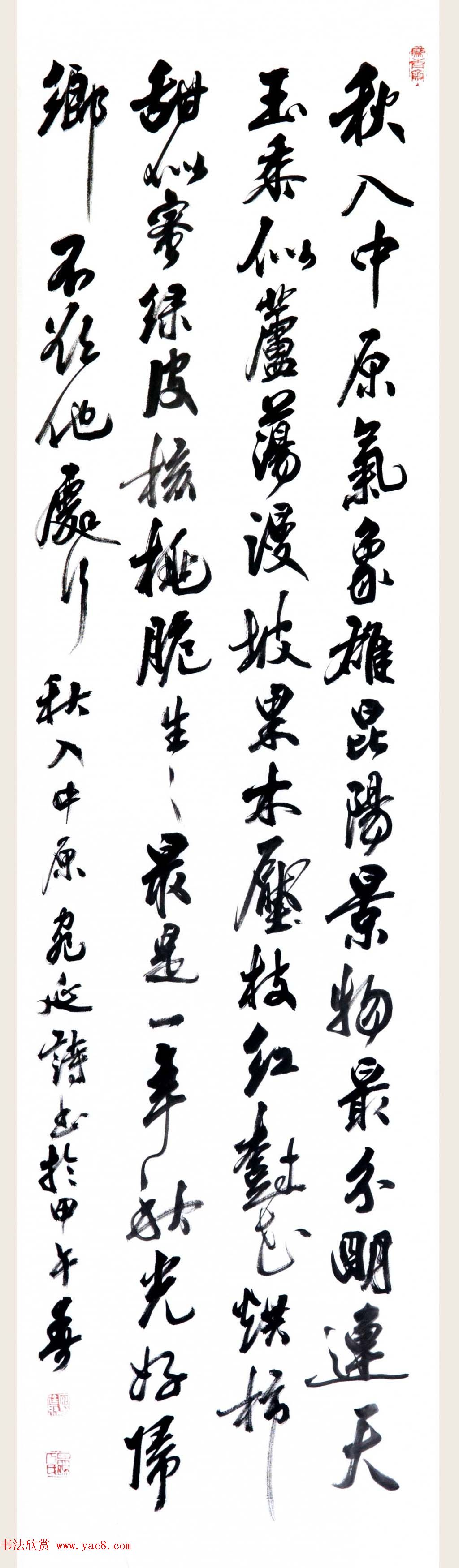鷨͢鷨Ʒʮ