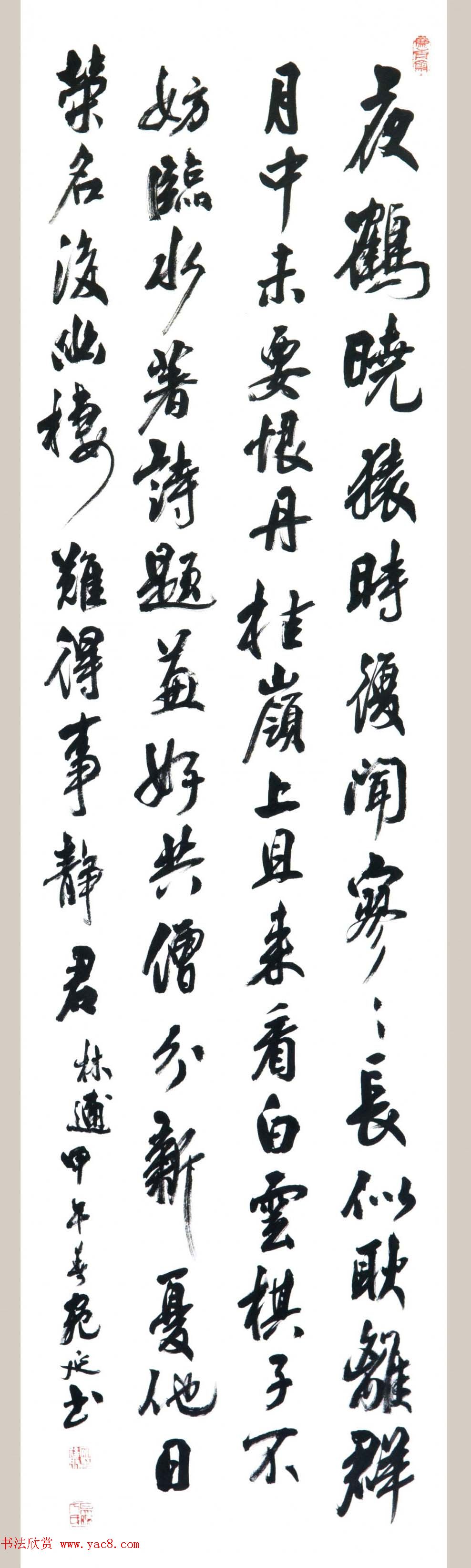 鷨͢鷨Ʒʮ