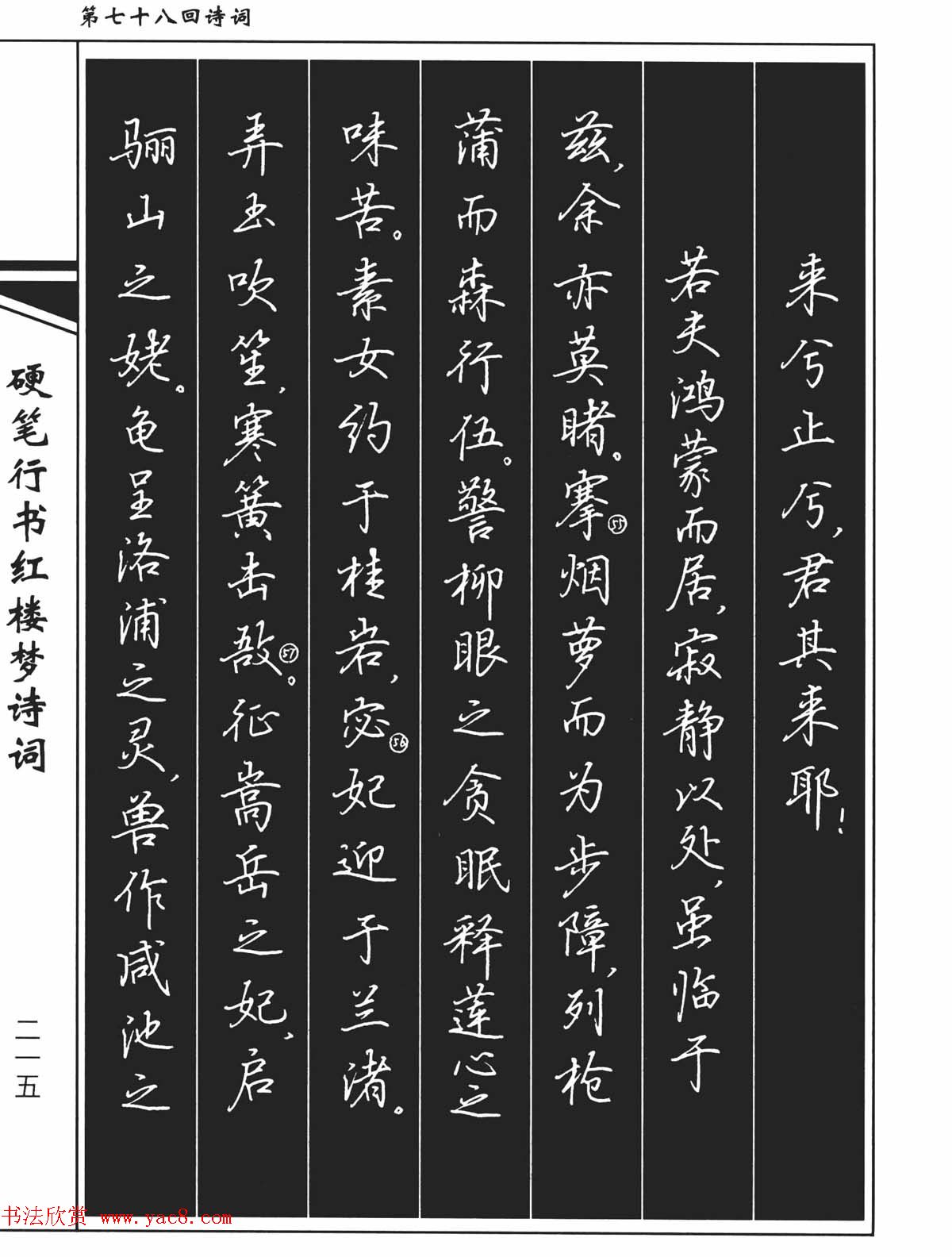 吴玉生钢笔字帖欣赏硬笔行书红楼梦诗词35
