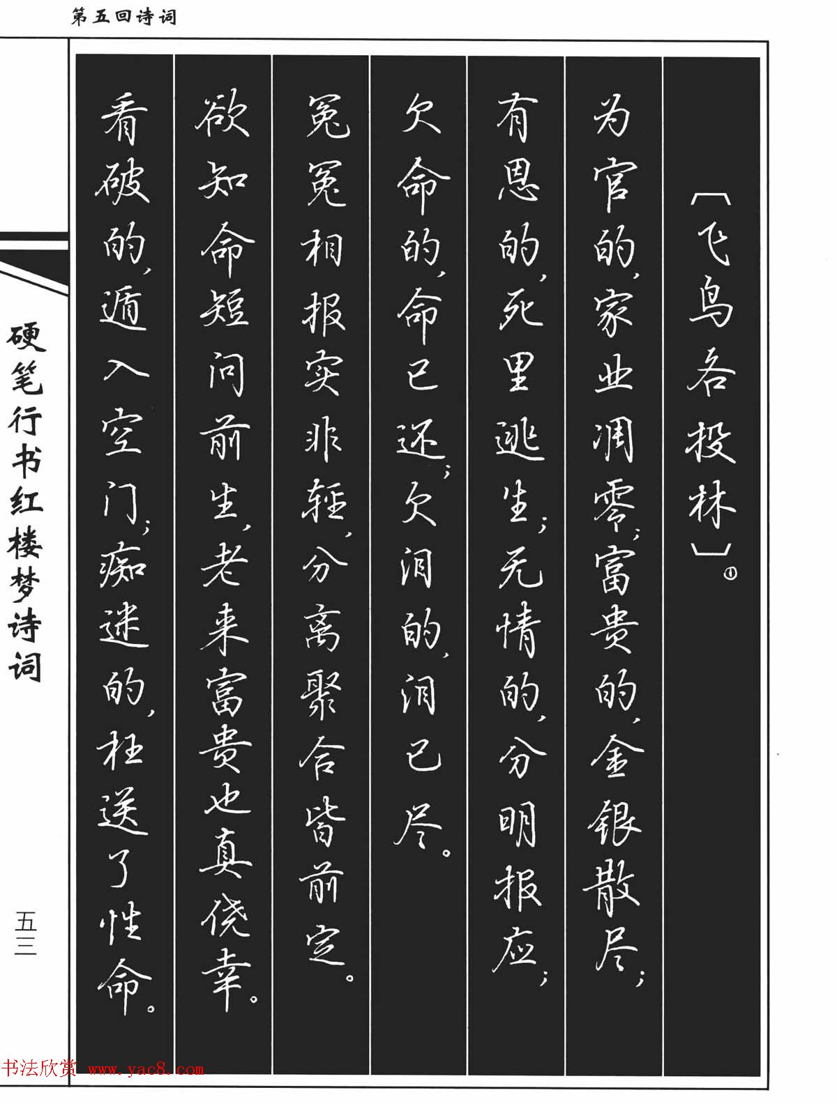 吴玉生钢笔字帖欣赏《硬笔行书红楼梦诗词》 - 第9页 _钢笔字帖_书法欣赏