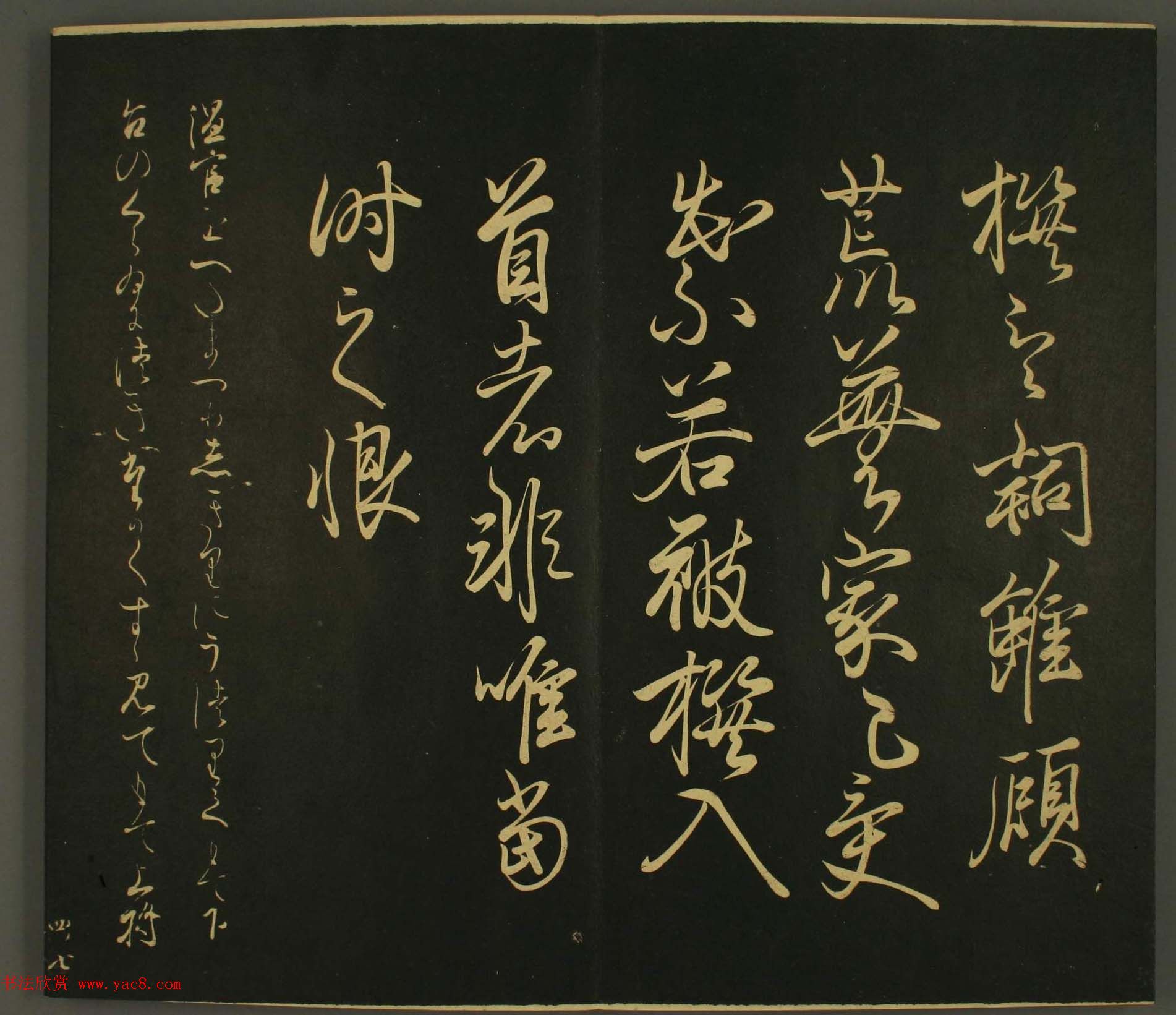ձȨ鷨:·鎆