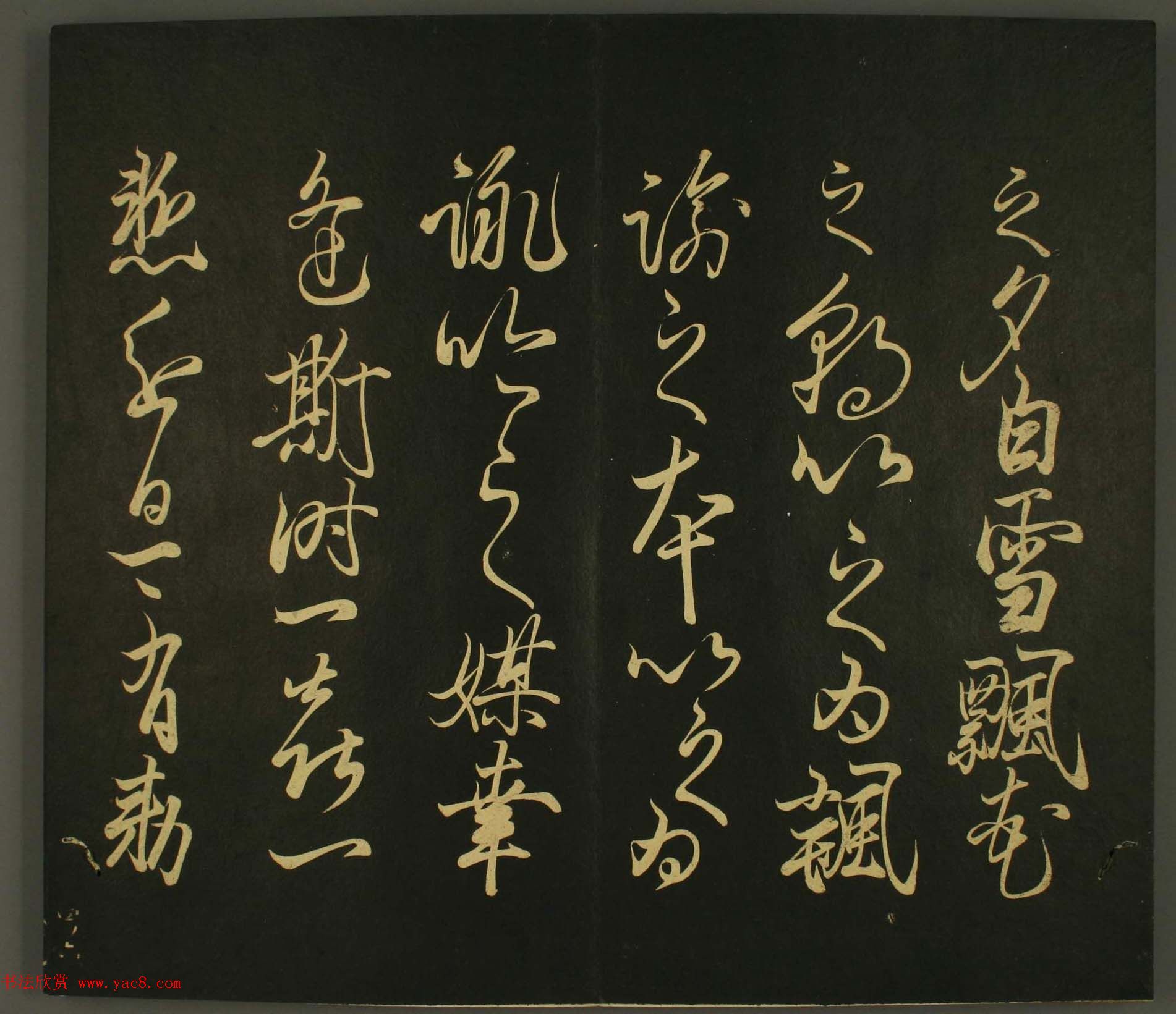 ձȨ鷨:·鎆
