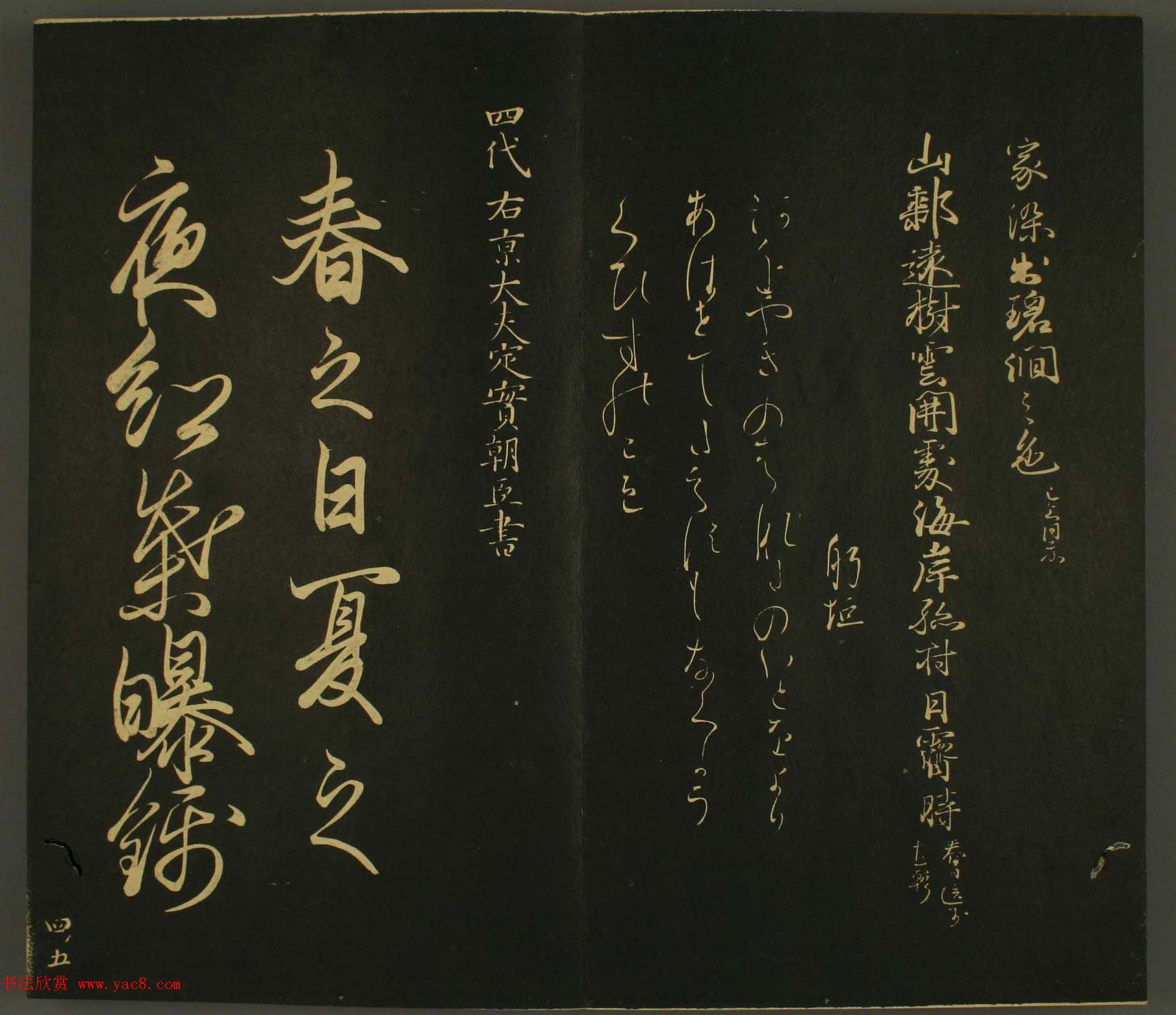 ձȨ鷨:·鎆