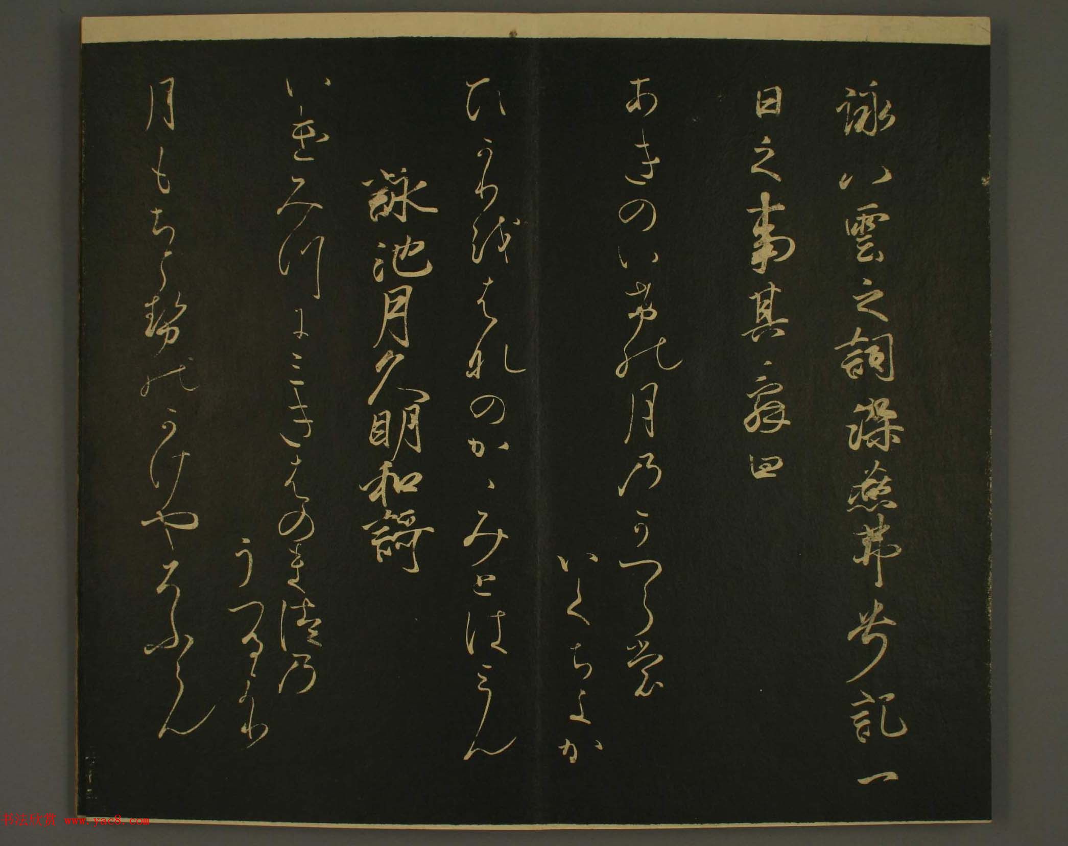 ձȨٸ鷨:·鎆