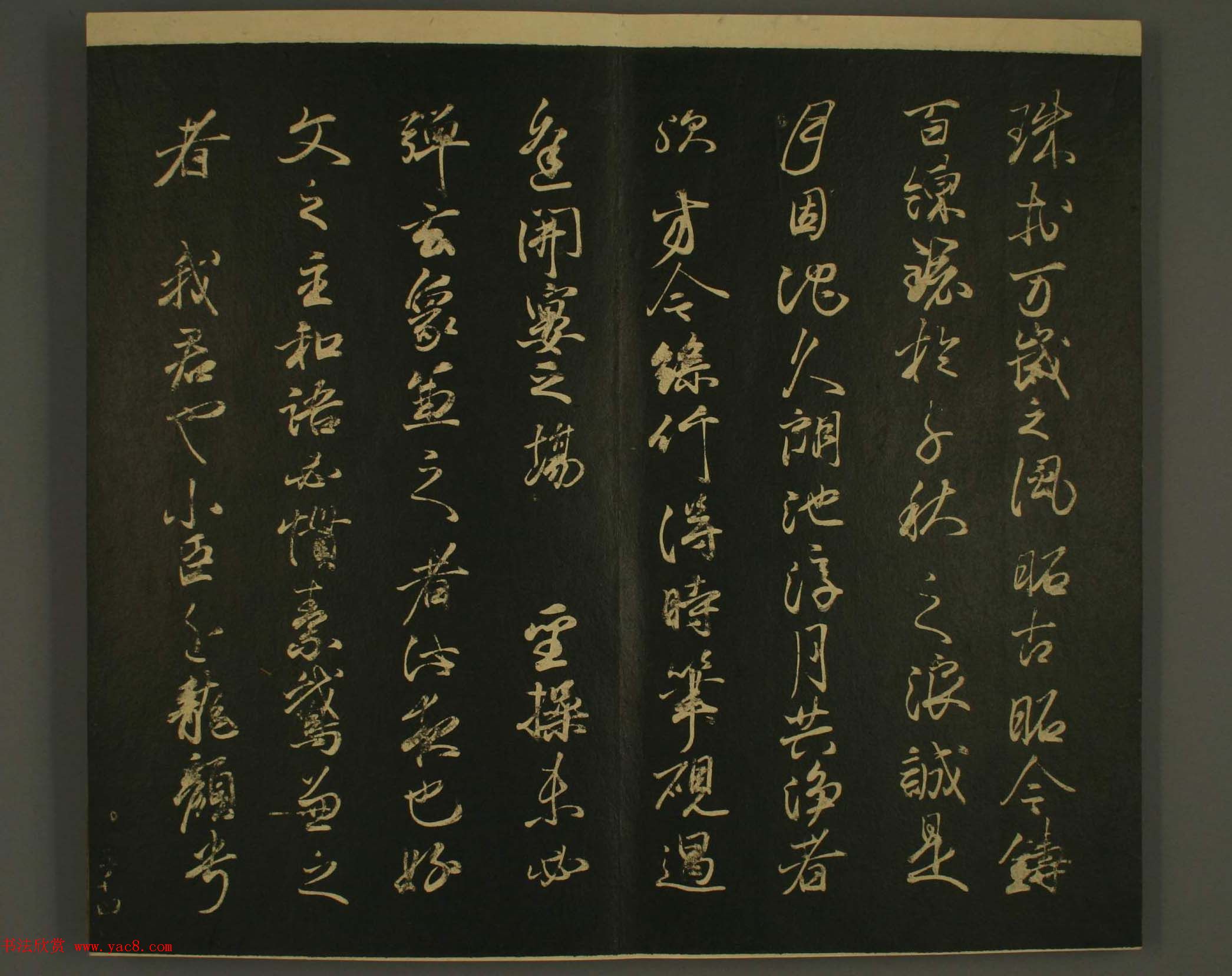 ձȨٸ鷨:·鎆
