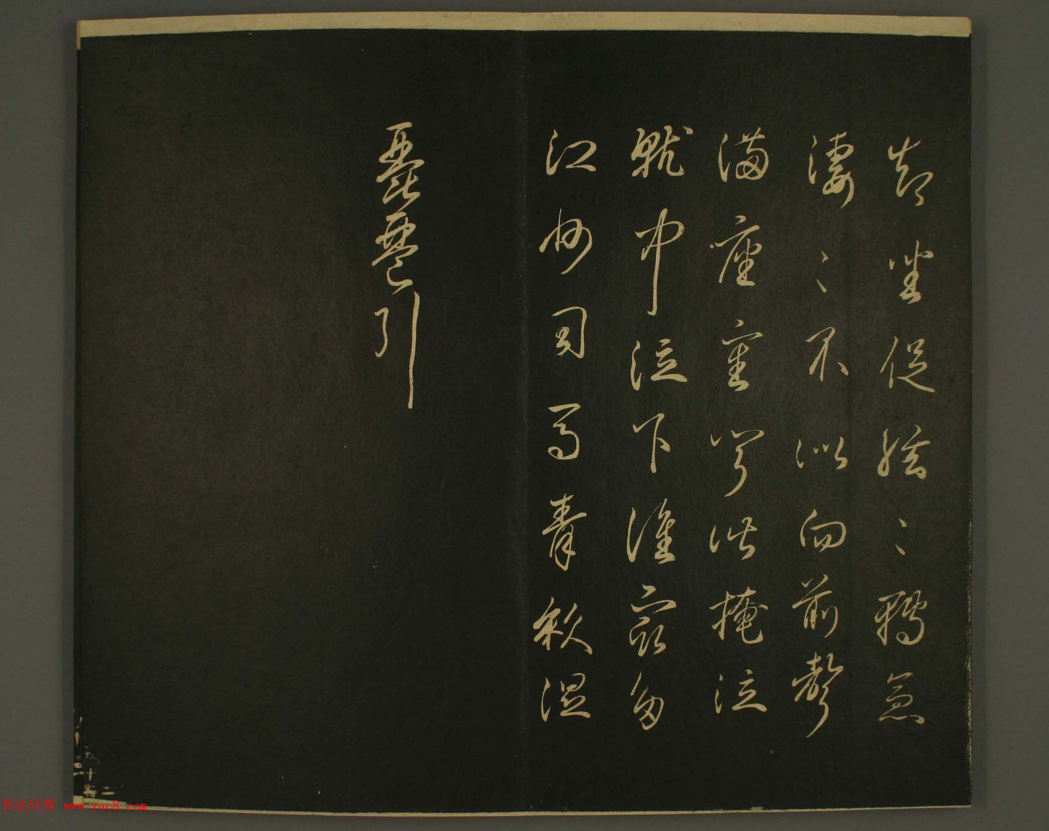 ձȨٸ鷨:·鎆