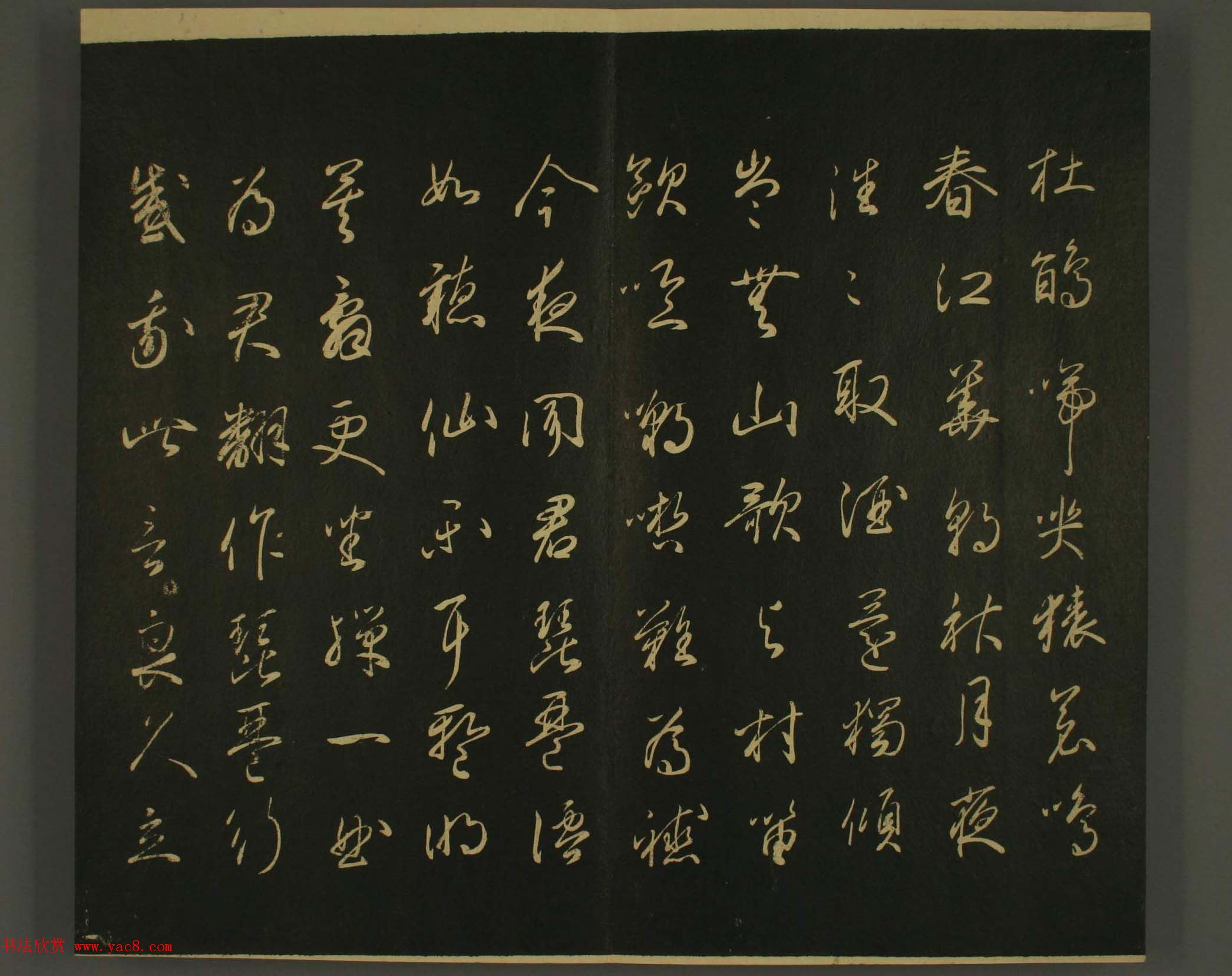 ձȨٸ鷨:·鎆