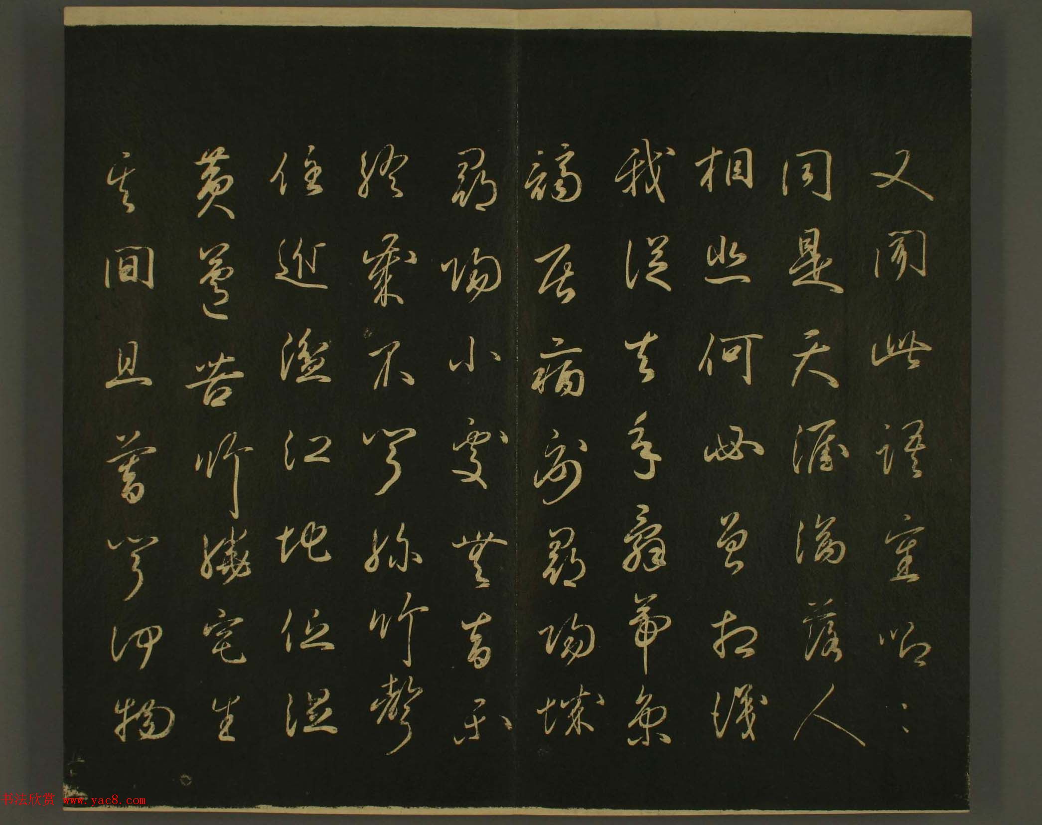 ձȨٸ鷨:·鎆