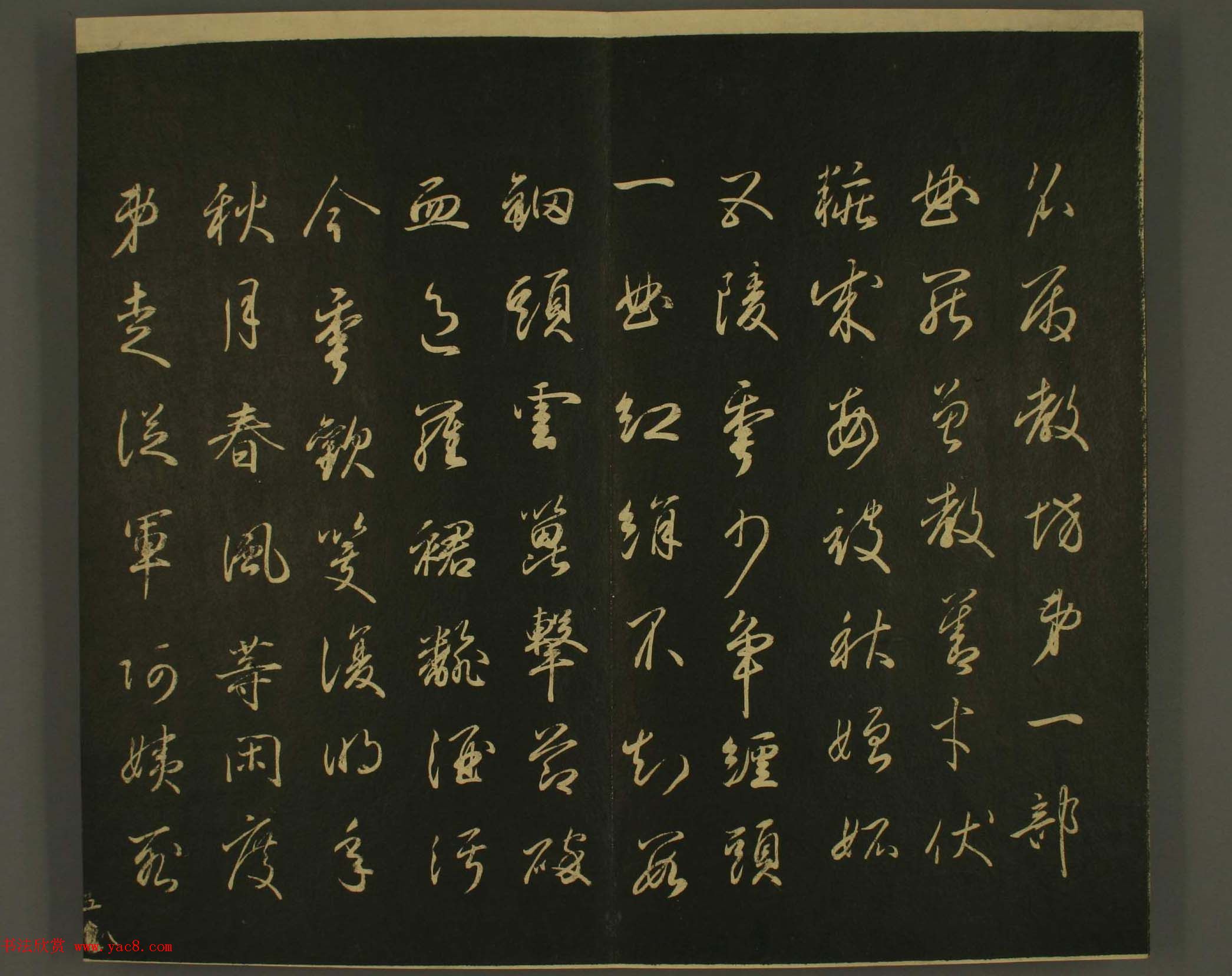ձȨٸ鷨:·鎆