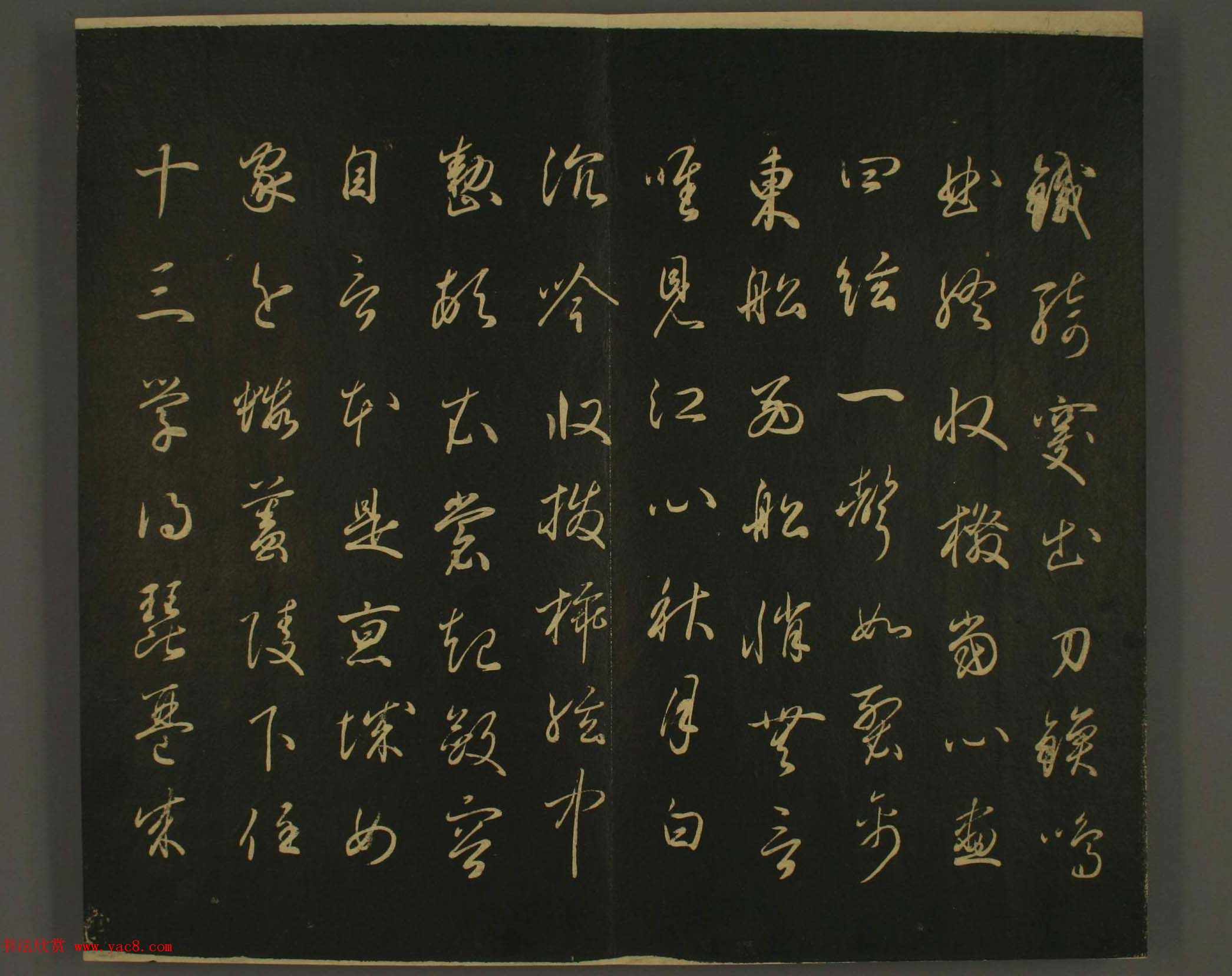 ձȨٸ鷨:·鎆