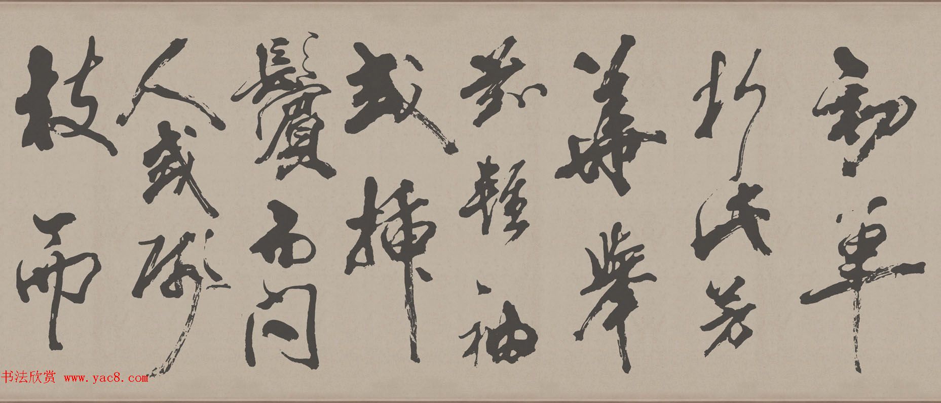 鷨ĵ÷屾