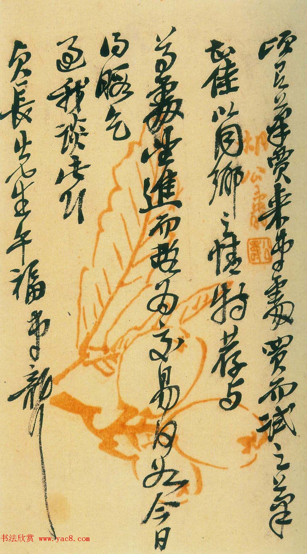 ˶ּ