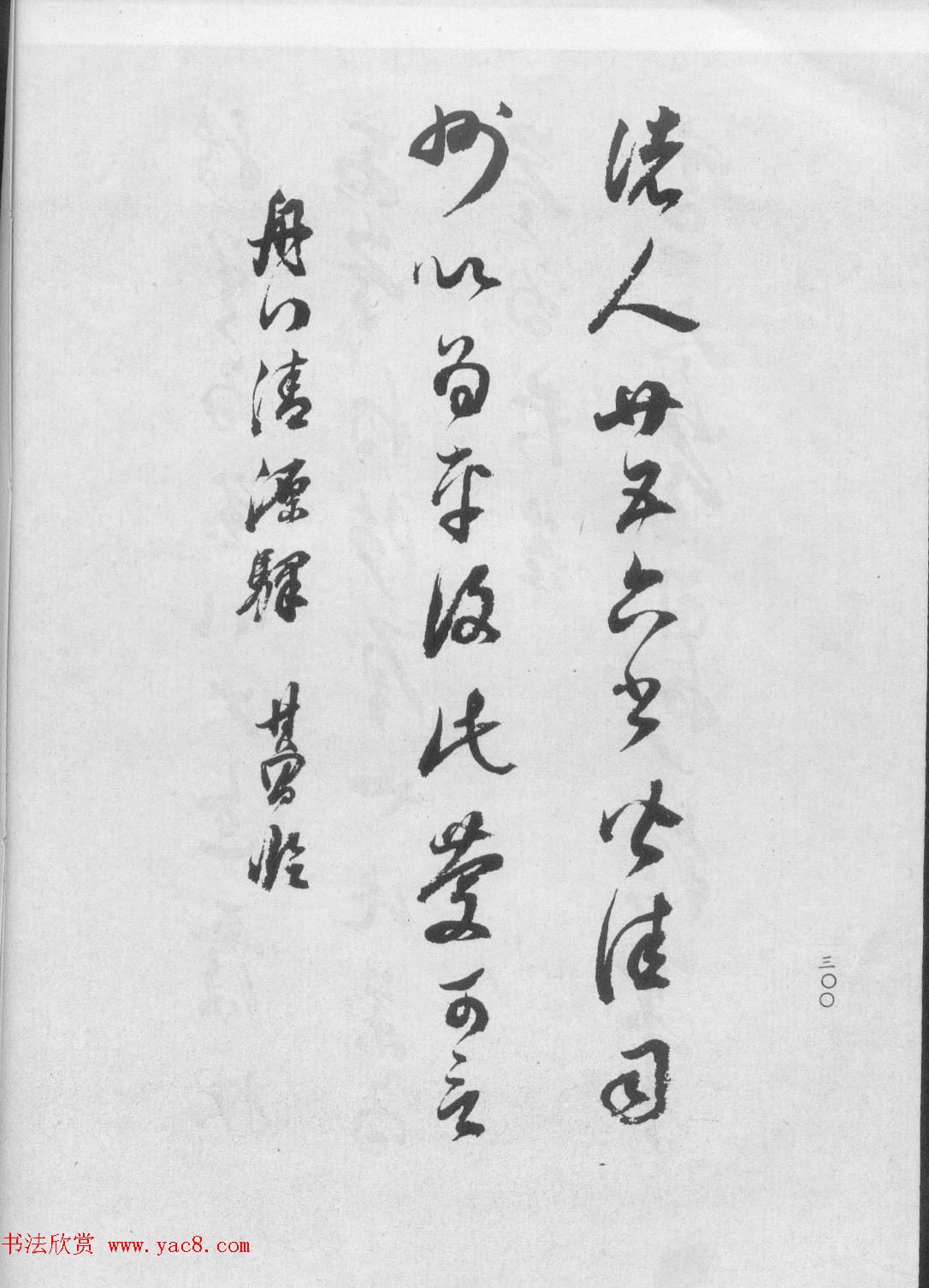 鷨ٴ