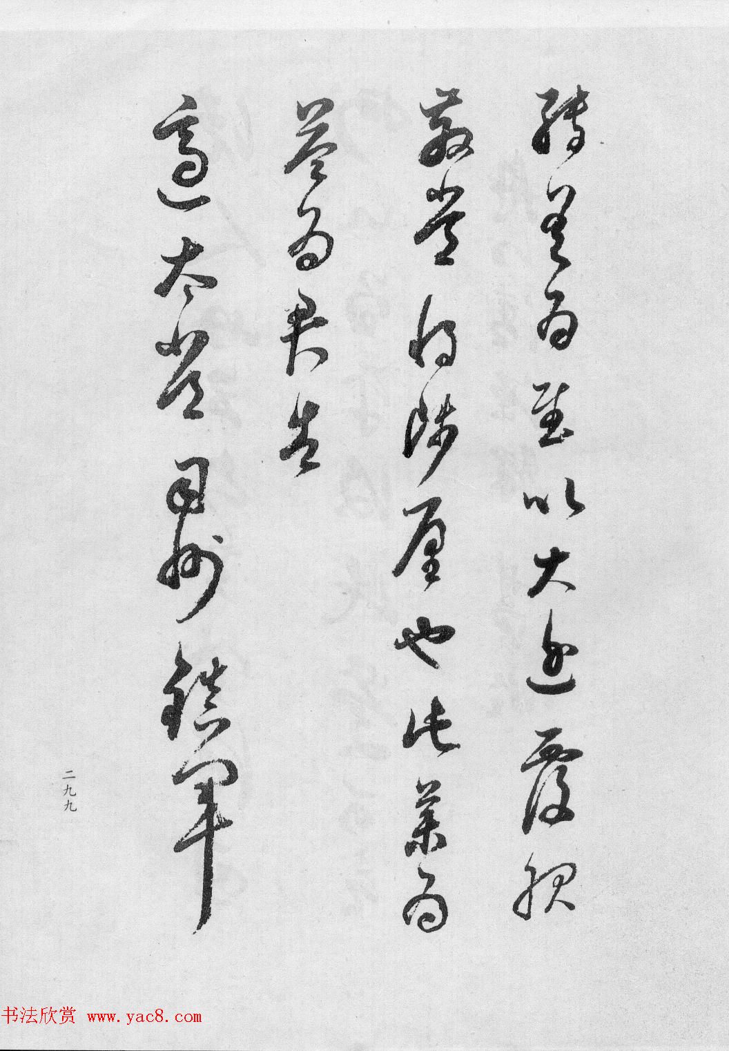 鷨ٴ