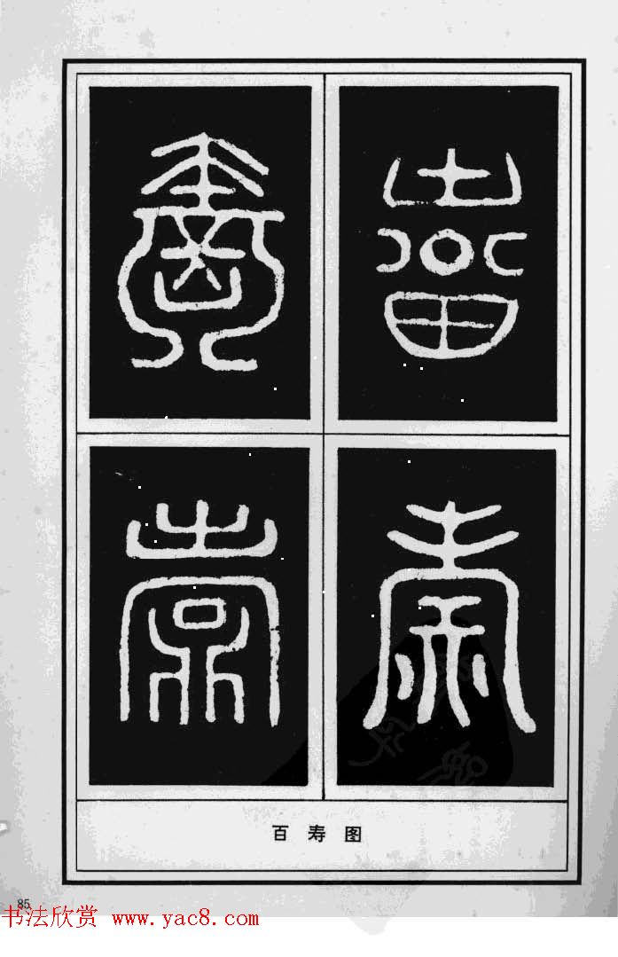 鷨漣鷨ר