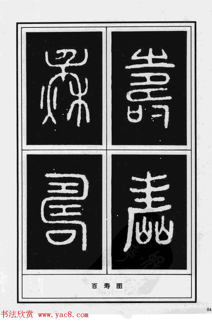 鷨漣鷨ר