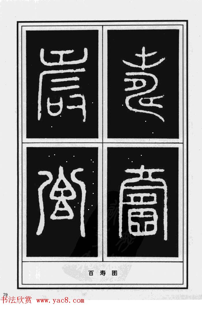 鷨漣鷨ר