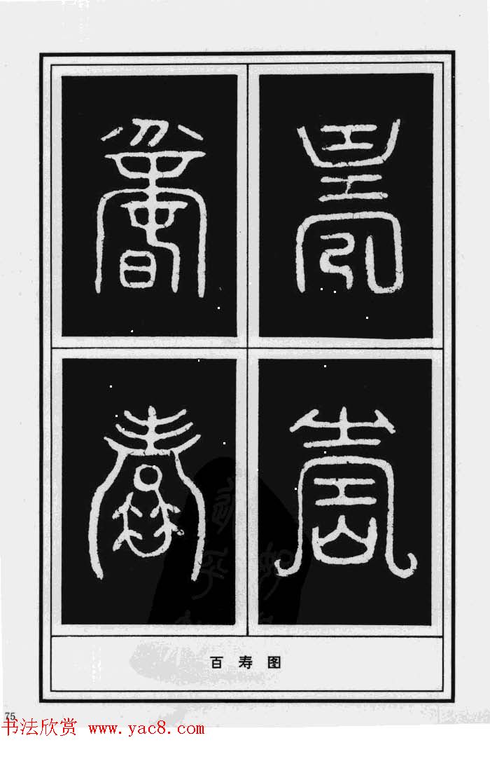 鷨漣鷨ר