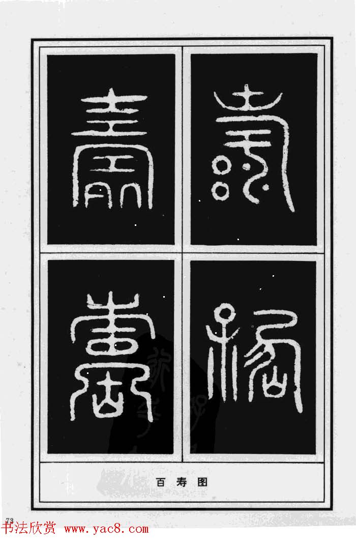 鷨漣鷨ר