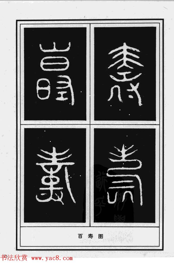 鷨漣鷨ר