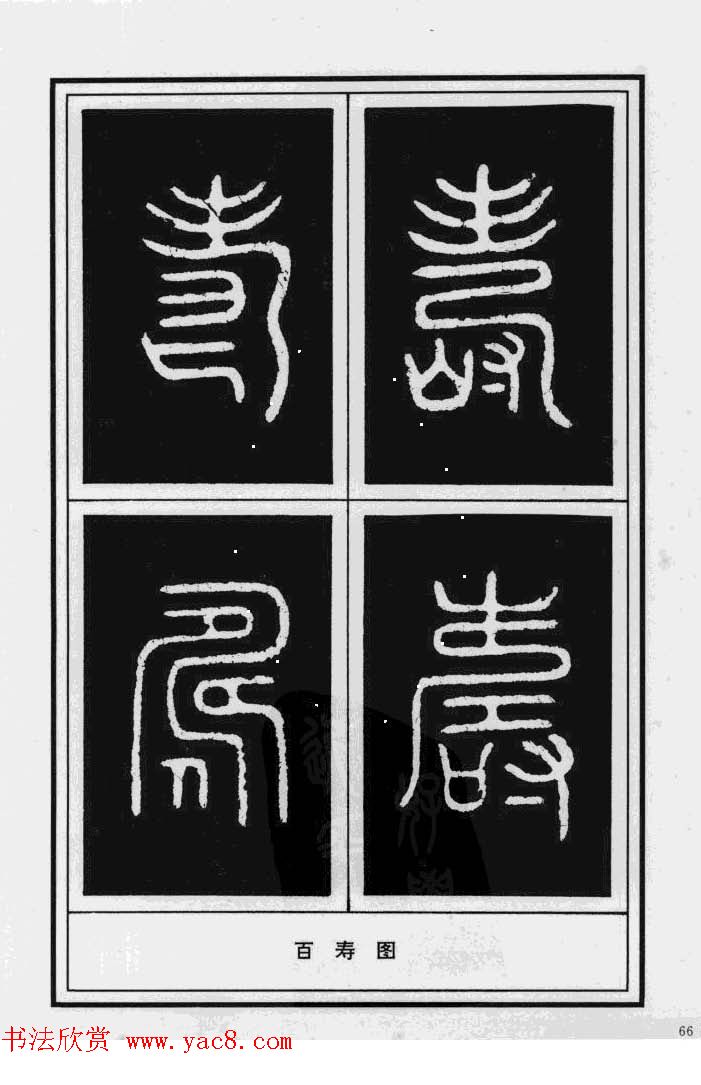 鷨漣鷨ר