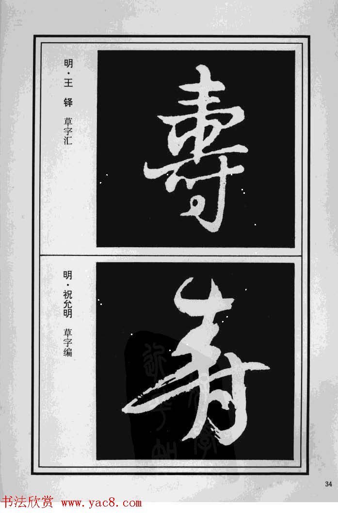 鷨漣鷨ר
