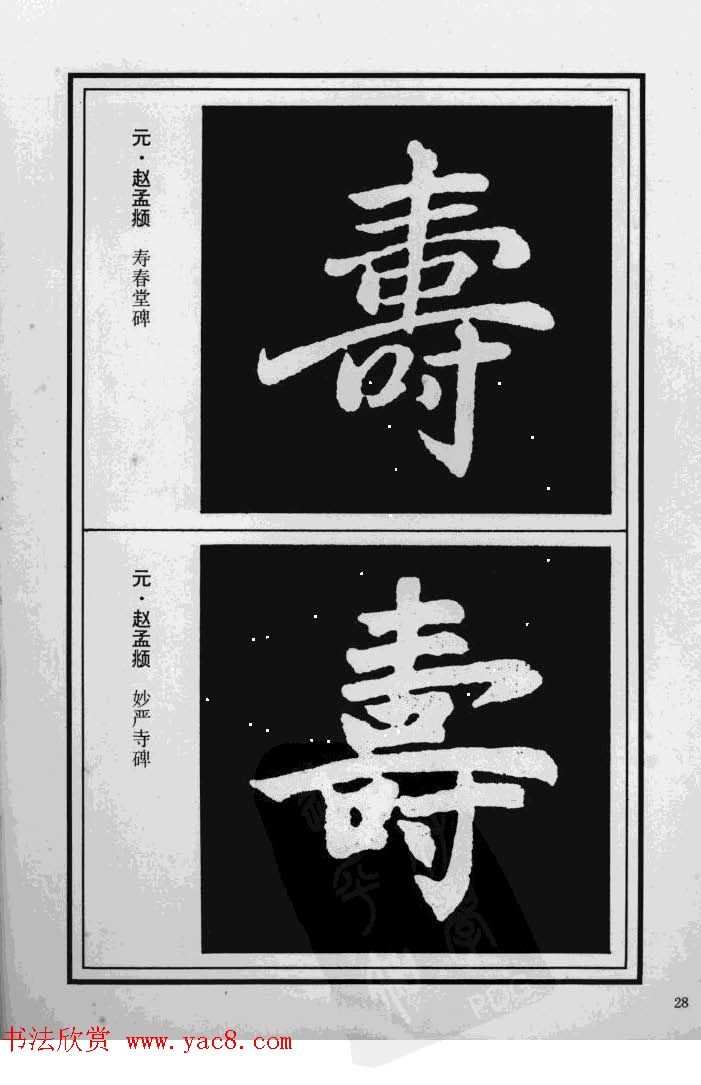 鷨漣鷨ר