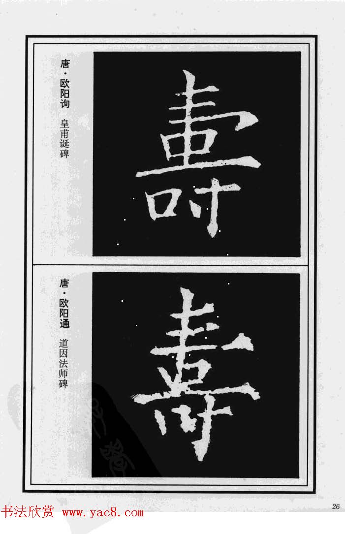 鷨漣鷨ר