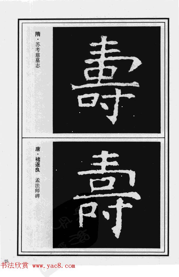 鷨漣鷨ר