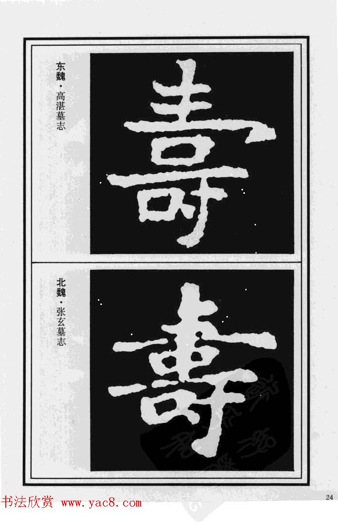 鷨漣鷨ר